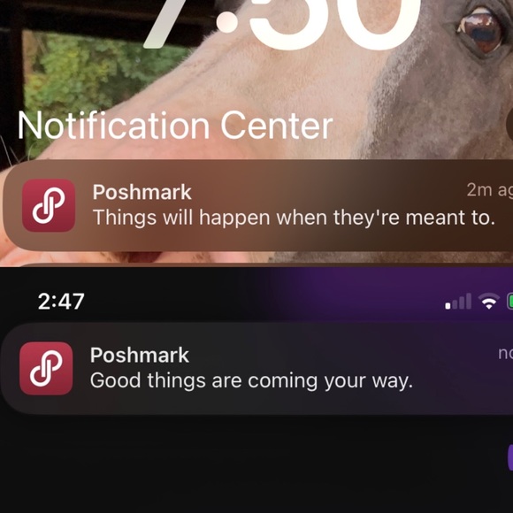 Meet your Posher, Paula - Picture 4 of 4